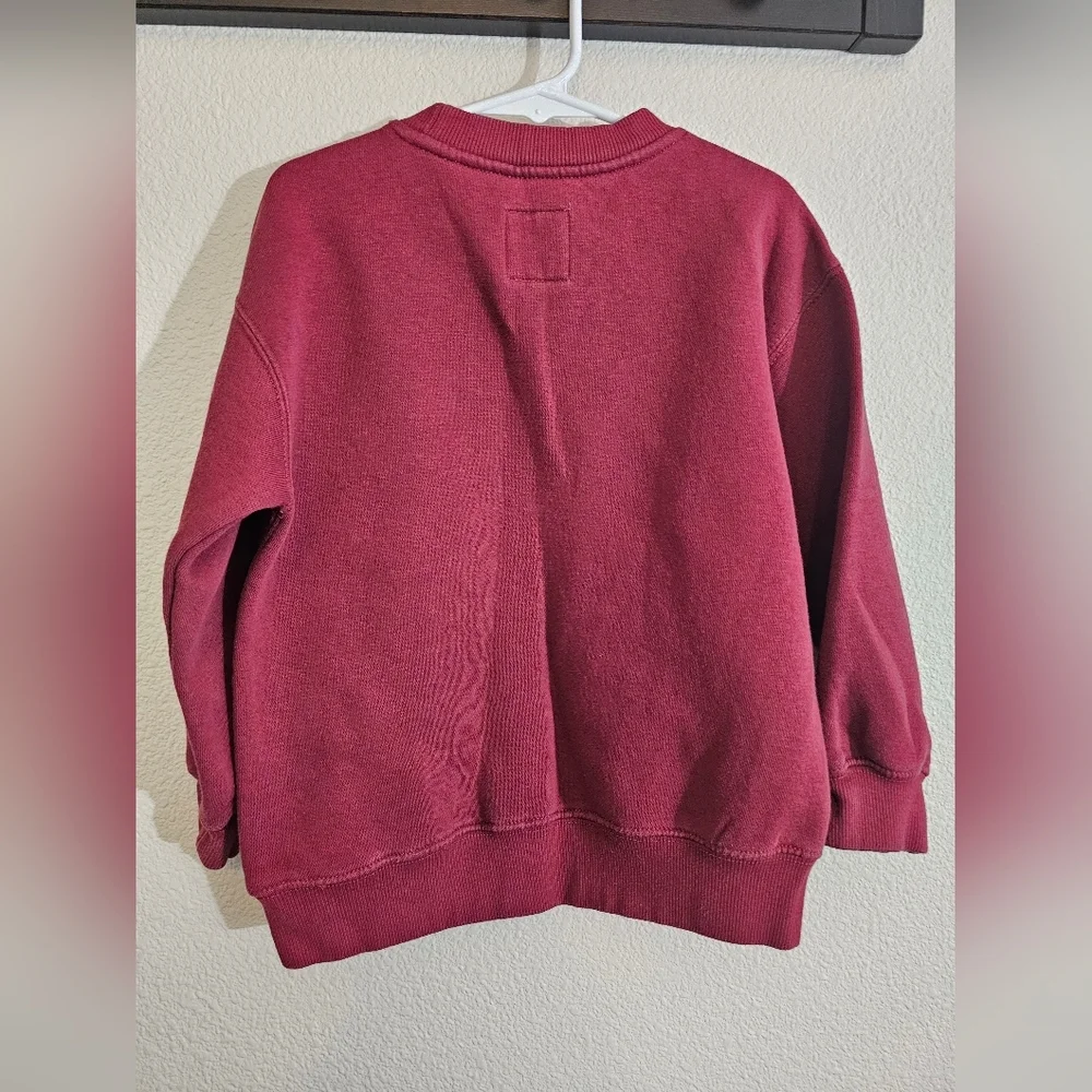 Zara Burgundy Sweater